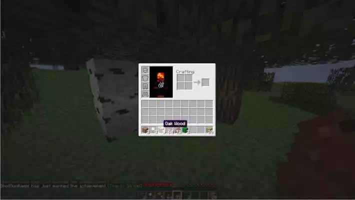 Play Cheat Minecraft