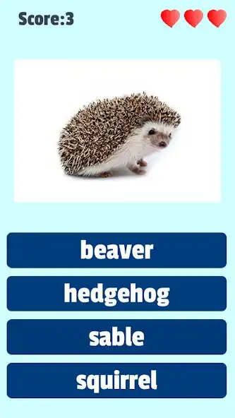 Play Check your English! as an online game online Check your English! with UptoPlay Play Check your English! as an online game Check your English! with UptoPlay