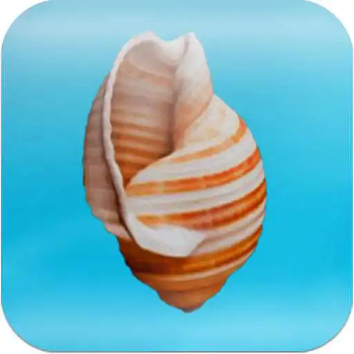 Run free android online Cheeky Conch Shell (Oracle) APK Run free android online Cheeky Conch Shell (Oracle) APK