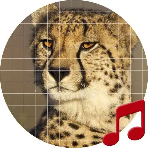 Play Cheetah (animal) sounds ~ Sboard.pro APK Play Cheetah (animal) sounds ~ Sboard.pro APK