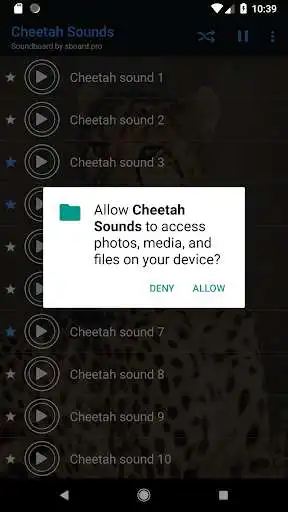 Play Cheetah (animal) sounds ~ Sboard.pro as an online game Cheetah (animal) sounds ~ Sboard.pro with UptoPlay