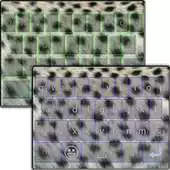 Free play online Cheetah Keyboard Theme APK Free play online Cheetah Keyboard Theme APK