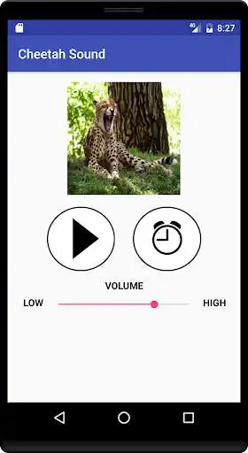 Play Cheetah Sound as an online game Cheetah Sound with UptoPlay