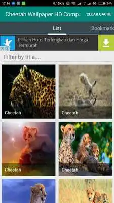 Play Cheetah Wallpaper HD Complete Play Cheetah Wallpaper HD Complete