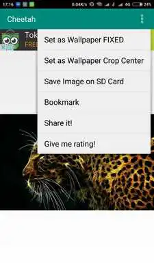 Play Cheetah Wallpaper HD Complete Play Cheetah Wallpaper HD Complete