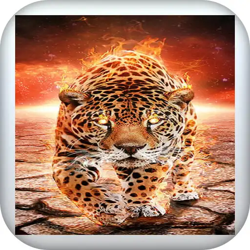 Play Cheetah wallpapers HD + 4K APK