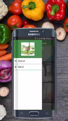 Play Chef Paul Bocuse Recipes HD