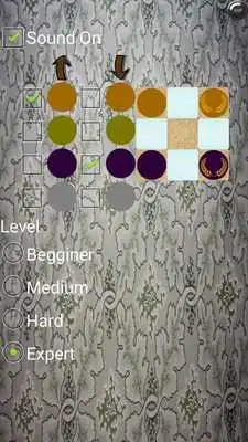 Play chekers (real dame)