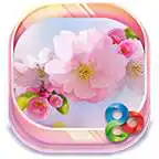 Free play online Cherry Blossom. GO Launcher EX Theme  APK