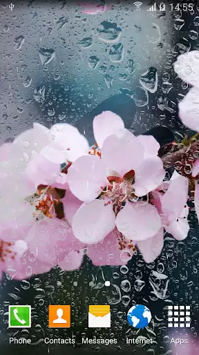 Play Cherry Blossom Live Wallpaper  and enjoy Cherry Blossom Live Wallpaper with UptoPlay