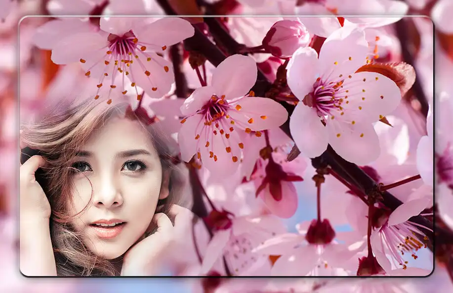 Play Cherry Blossom Photo Frames  and enjoy Cherry Blossom Photo Frames with UptoPlay
