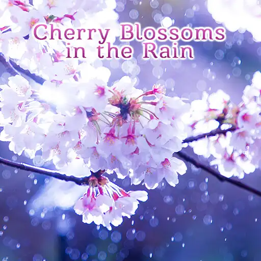 Play Cherry Blossoms in the Rain APK