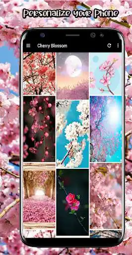 Play Cherry Blossom Wallpapers App  and enjoy Cherry Blossom Wallpapers App with UptoPlay