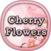 Free play online Cherry Flowers for GO Locker APK Free play online Cherry Flowers for GO Locker APK