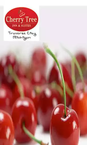 Play Cherry Tree Inn Traverse City  and enjoy Cherry Tree Inn Traverse City with UptoPlay