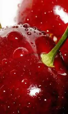 Play Cherry Wallpapers