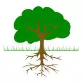 Free play online Chesapeake Native Plants APK Free play online Chesapeake Native Plants APK