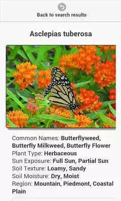Play Chesapeake Native Plants