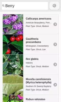 Play Chesapeake Native Plants