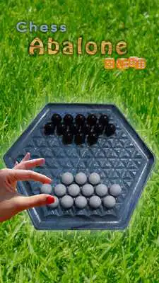 Play Chess Abalone