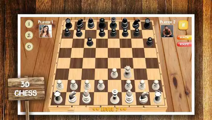 Play Chess King