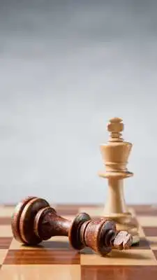 Play Chess Live Wallpaper