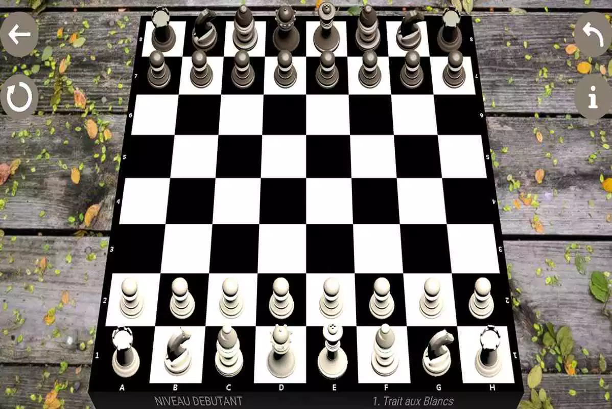 Play chess new 2018