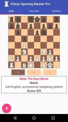 Play Chess Opening Master