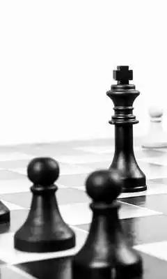 Play Chess Wallpaper