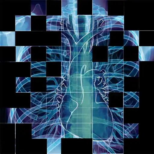 Free play online Chest X-Ray Interpretation APK Free play online Chest X-Ray Interpretation APK