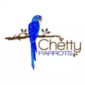 Free play online Chetty Parrots APK Free play online Chetty Parrots APK