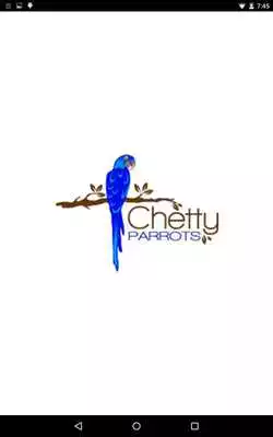Play Chetty Parrots