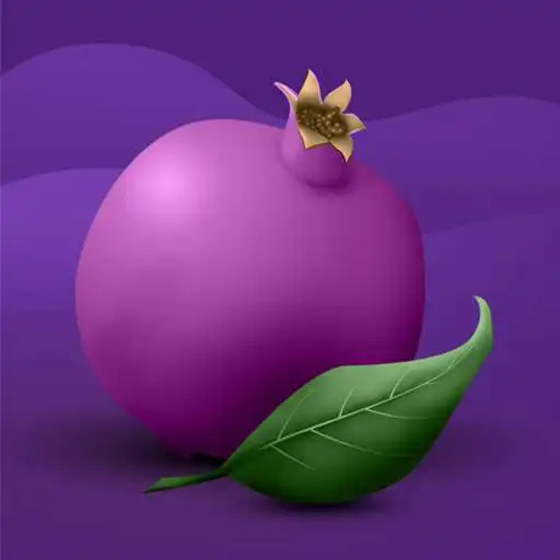 Play Chevrah Kadisha APK Play Chevrah Kadisha APK