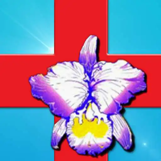Run free android online CHGHostipal APK Run free android online CHGHostipal APK