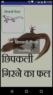 Play Chhipkali girana (in Hindi)