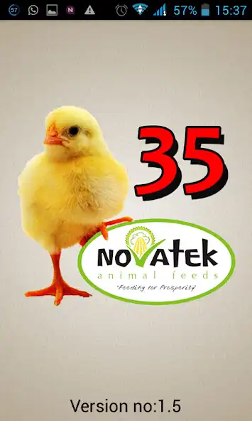 Play Chick 35  and enjoy Chick 35 with UptoPlay