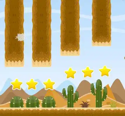 Play Chicken Bird