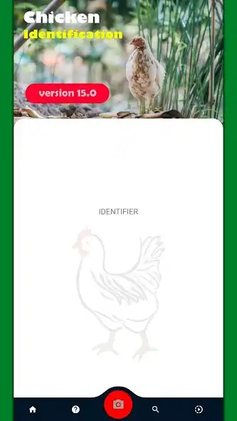 Play Chicken Breed Identifier  and enjoy Chicken Breed Identifier with UptoPlay