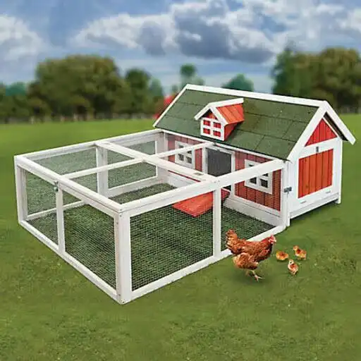 Play Chicken Coop APK Play Chicken Coop APK