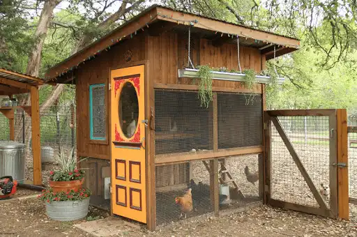 Play Chicken Coop  and enjoy Chicken Coop with UptoPlay