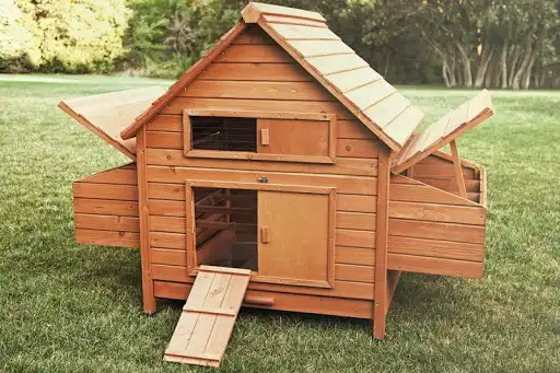 Play Chicken Coop as an online game Chicken Coop with UptoPlay