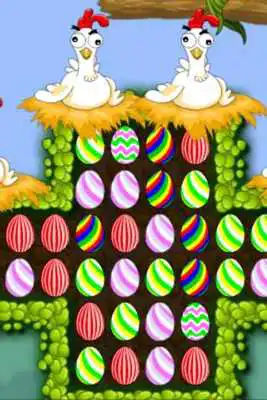 Play Chicken Egg Match