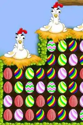 Play Chicken Egg Match