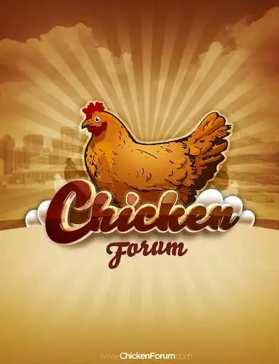 Play Chicken Forum  and enjoy Chicken Forum with UptoPlay