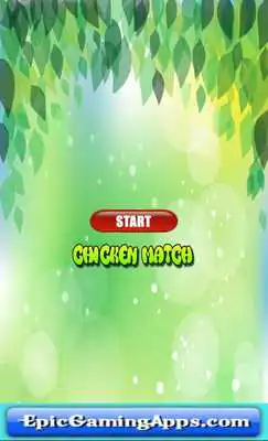 Play Chicken Game: Kids - FREE!