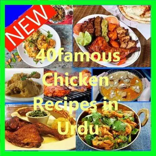 Play Chicken Recipes in Urdu and enjoy Chicken Recipes in Urdu with UptoPlay Play Chicken Recipes in Urdu and enjoy Chicken Recipes in Urdu with UptoPlay