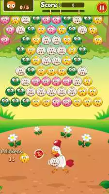 Play Chicken Rush Bubble Shooter