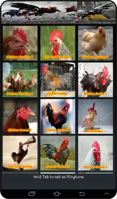 Play Chicken Soundboards