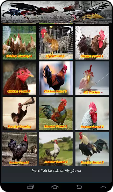 Play Chicken Soundboards