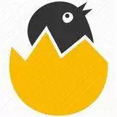 Free play online chick go pick APK Free play online chick go pick APK